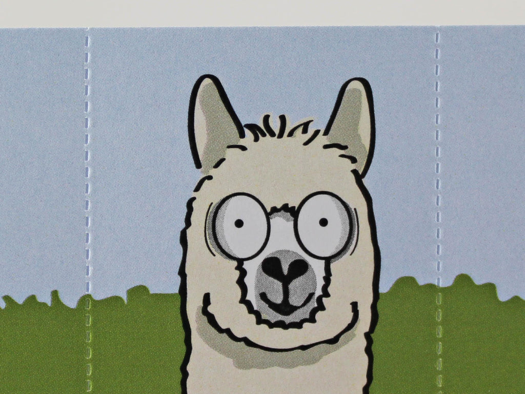 Alpaca Card with Bookmark