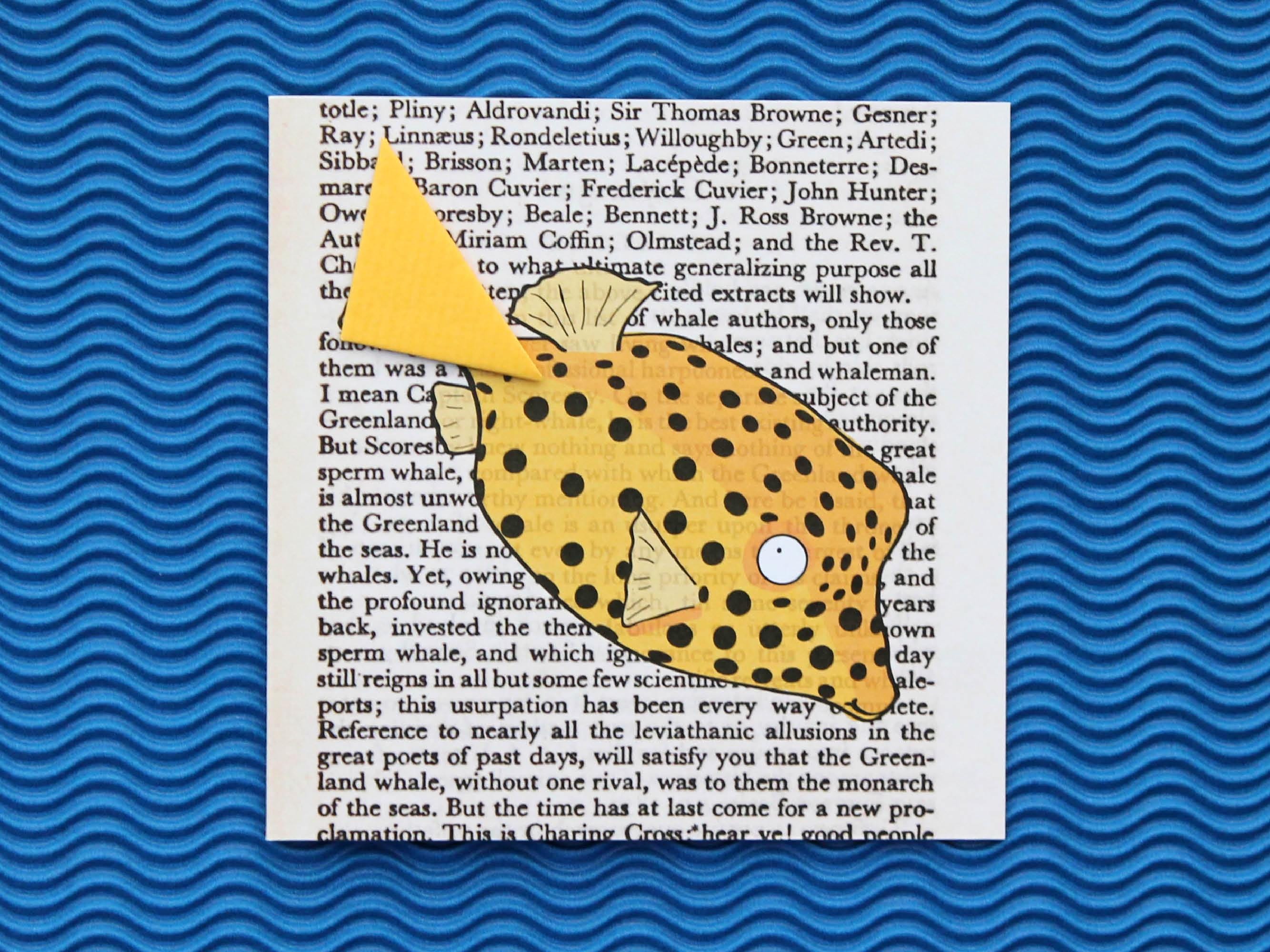Box Fish Card with Origami Bookmark