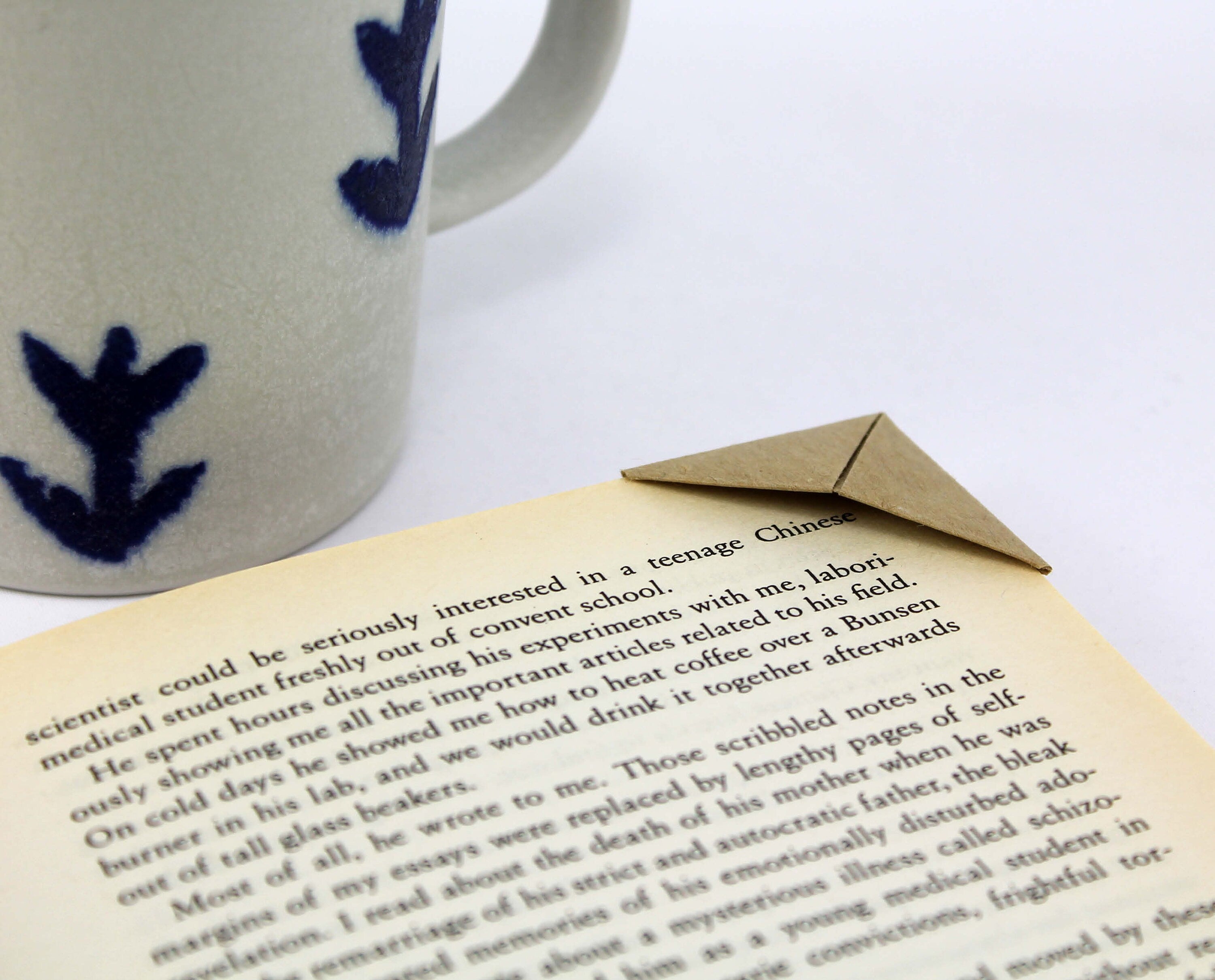 Wren Card with Origami Bookmark