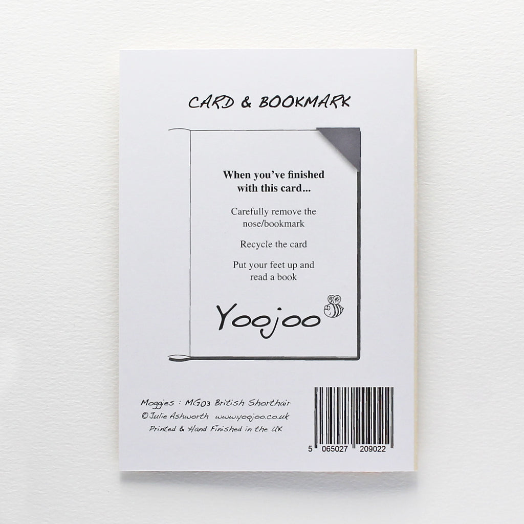 British Shorthair Cat Card with Origami Bookmark