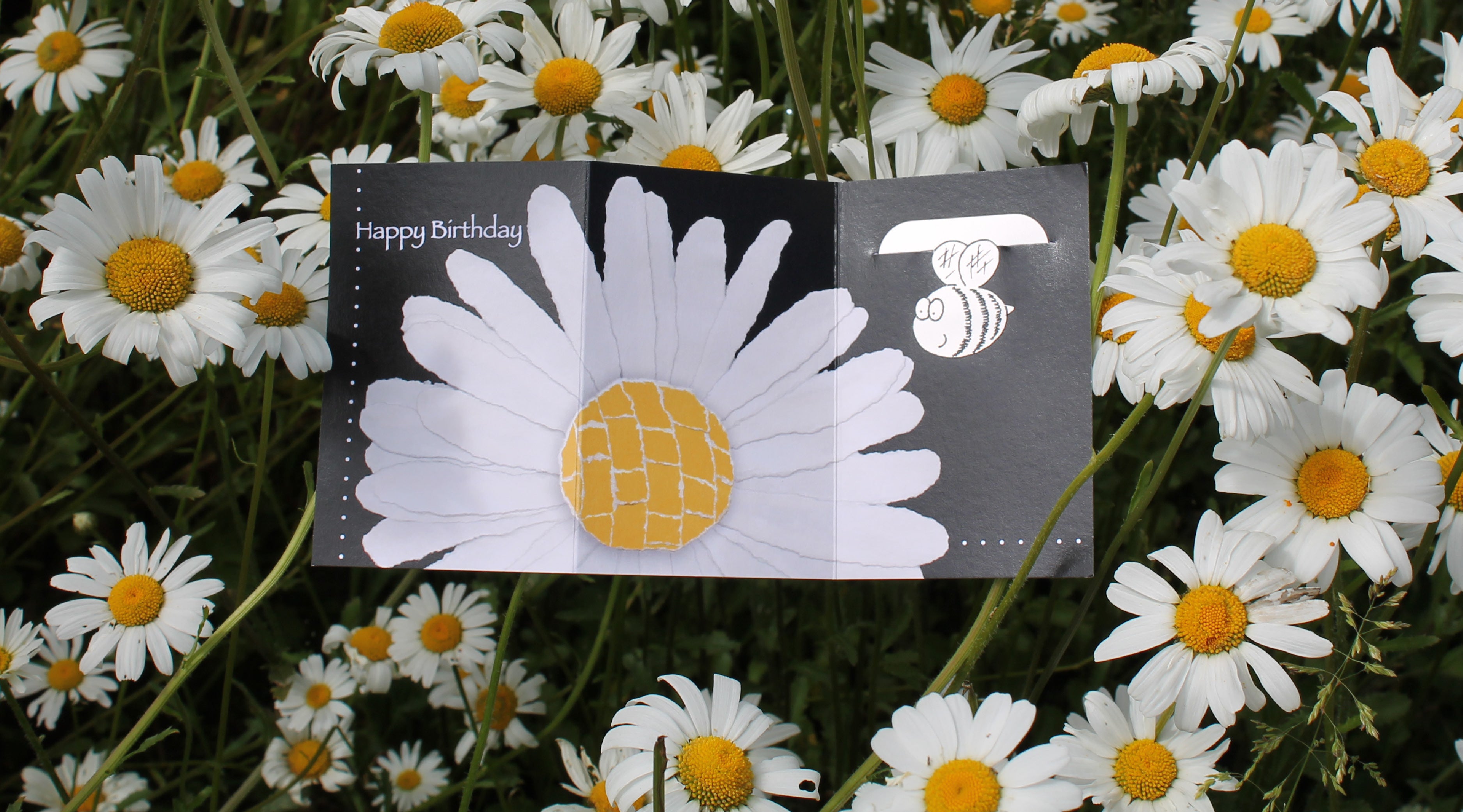 Flower Cards - Yoojoo