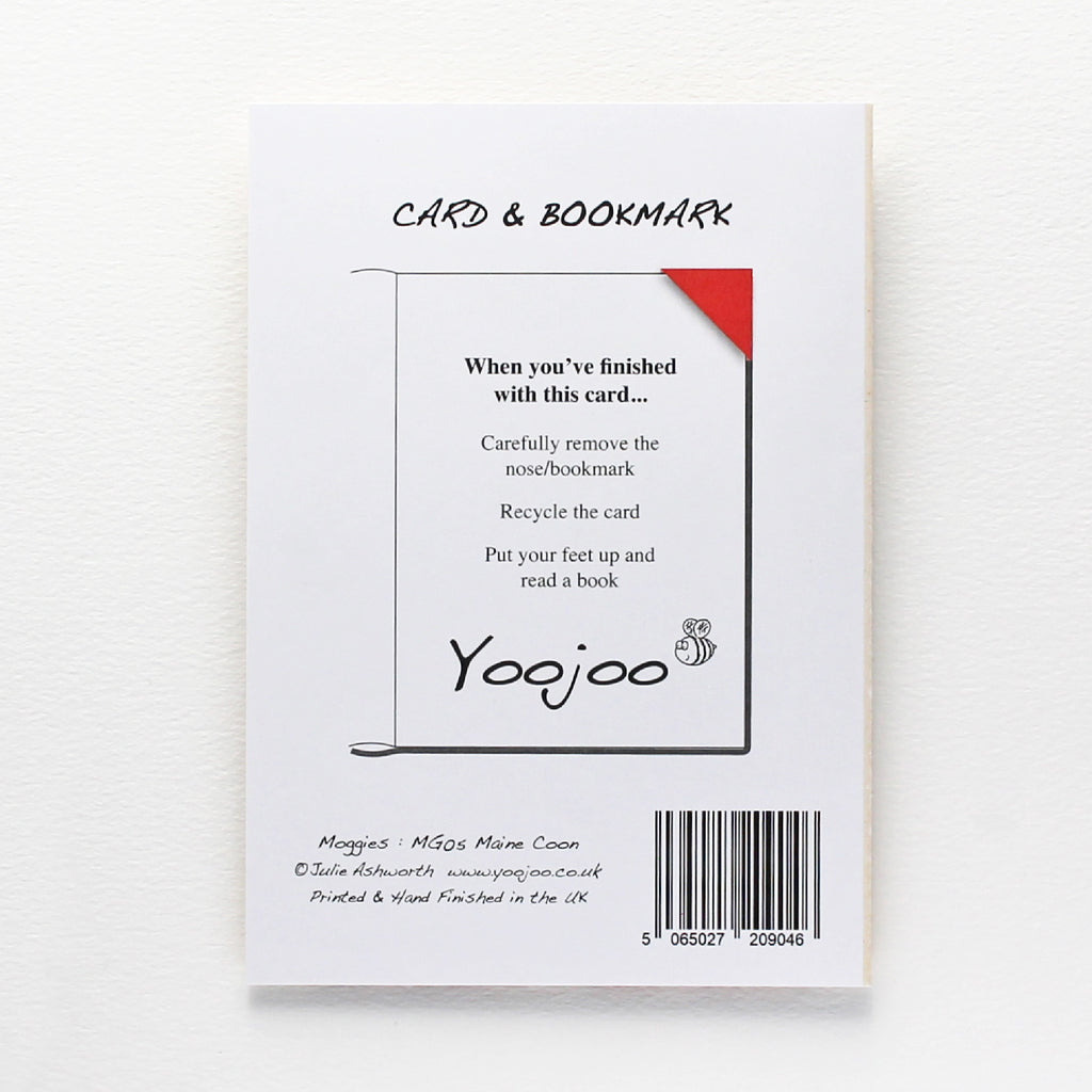 Maine Coon Cat Card with Origami Bookmark
