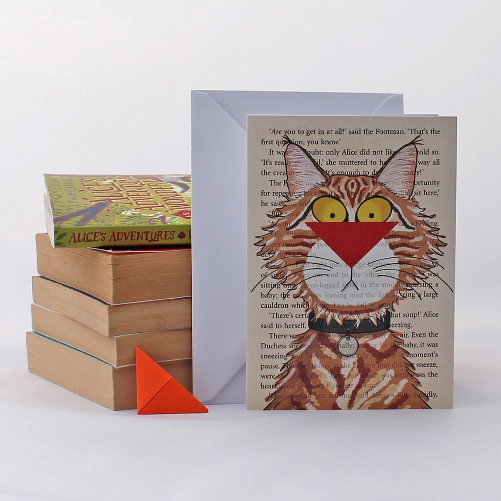 Maine Coon Cat Card with Origami Bookmark