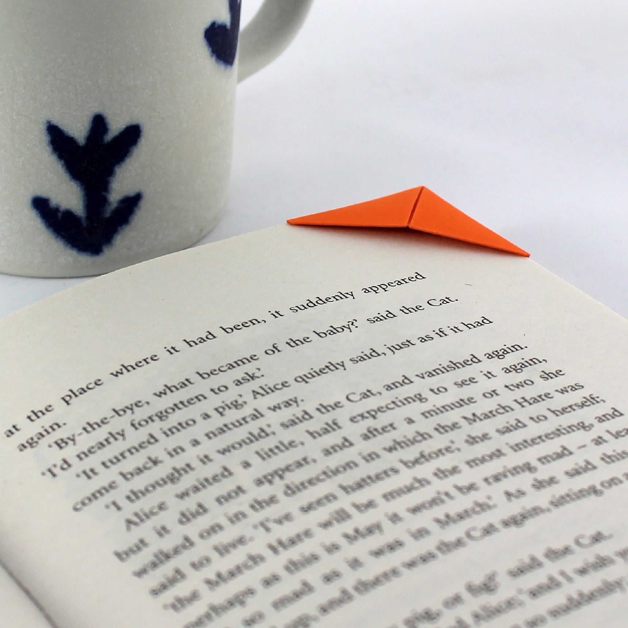 Maine Coon Cat Card with Origami Bookmark