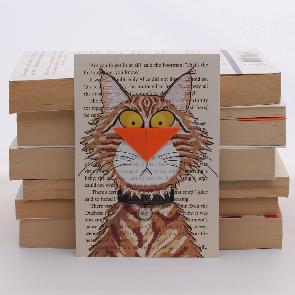 Maine Coon Cat Card with Origami Bookmark