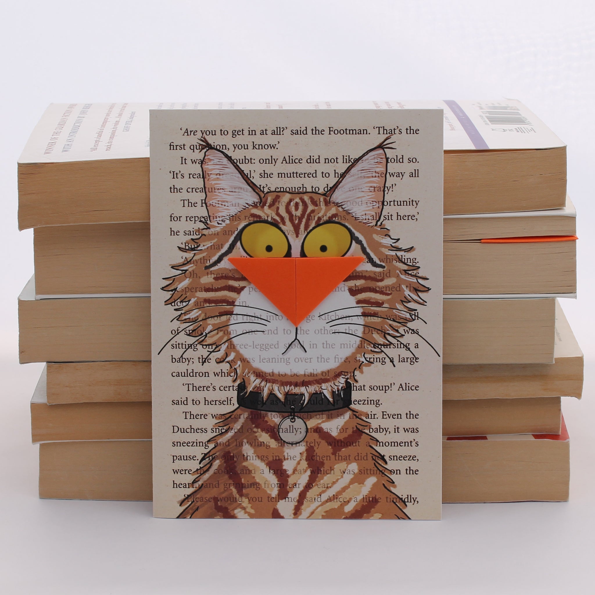 Maine Coon Cat Card with Origami Bookmark