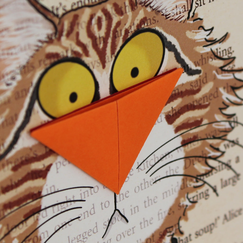 Maine Coon Cat Card with Origami Bookmark