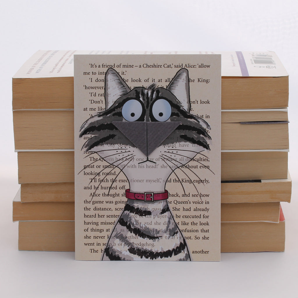 Tabby Cat Card with Origami Bookmark